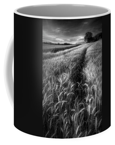 Austria Coffee Mug featuring the photograph Amber Waves of Grain in Black and White by Debra and Dave Vanderlaan