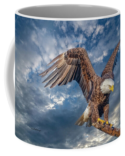 Eagles Coffee Mug featuring the photograph American Bald Eagle Incoming TWO by DB Hayes