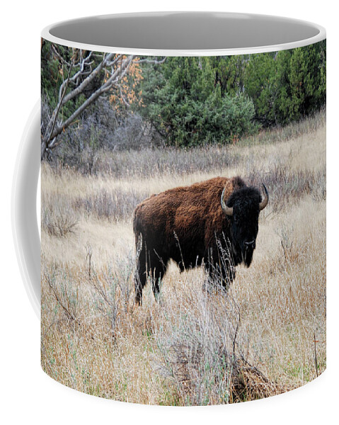 American Bison Coffee Mug featuring the photograph American Bison by Phyllis Taylor