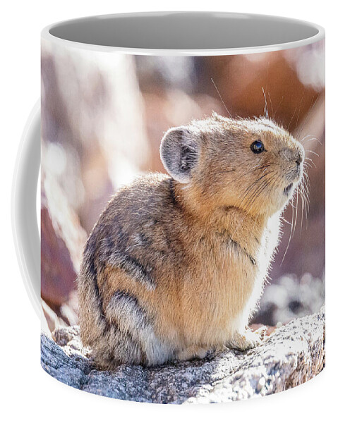 Pika Coffee Mug featuring the photograph American Pika in the Morning Sun by Tony Hake