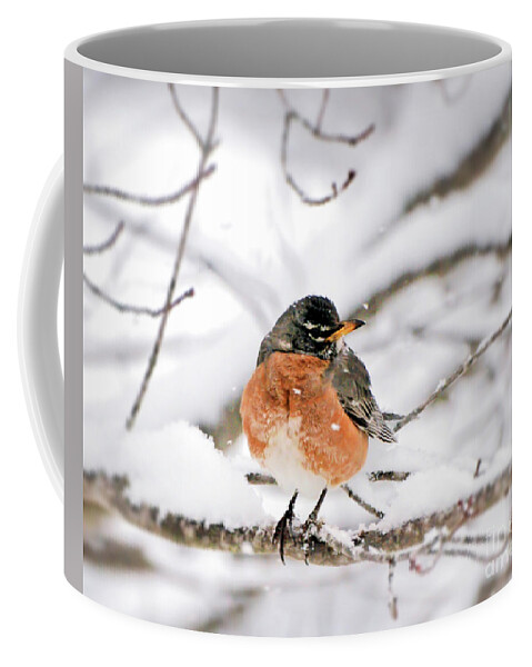 Robin Coffee Mug featuring the photograph American Robin in the Snow by Kerri Farley
