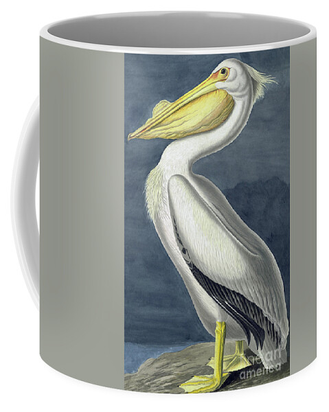Pelican Coffee Mug featuring the painting American White Pelican, Pelecanus Erythrorhynchos by John James Audubon by John James Audubon