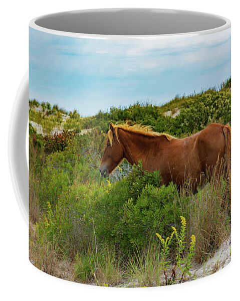 Wild Pony Coffee Mug featuring the photograph Amidst the Dunes by Liz Albro