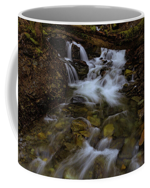 California Coffee Mug featuring the photograph An Unkown Creek in the Feather River Canyon by Don Hoekwater Photography