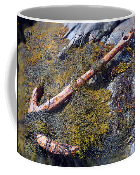 Mariner Coffee Mug featuring the photograph Anchors Away by Vicky Edgerly