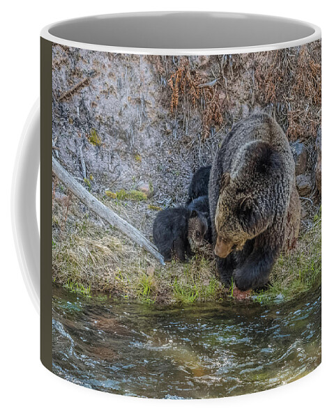 Bear Coffee Mug featuring the photograph And One Day You Will Swim by Yeates Photography