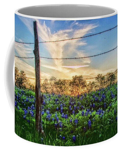 Bluebonnets Coffee Mug featuring the photograph Angel in the Sky by Ronnie Prcin