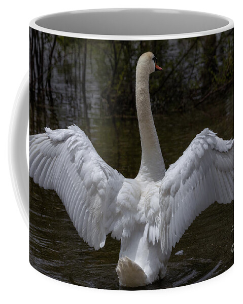 Photography Coffee Mug featuring the photograph Angel Wings or Simply Swan by Alma Danison