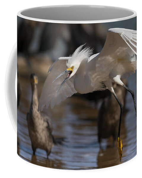  Coffee Mug featuring the photograph Angry Snowy. by Paul Martin