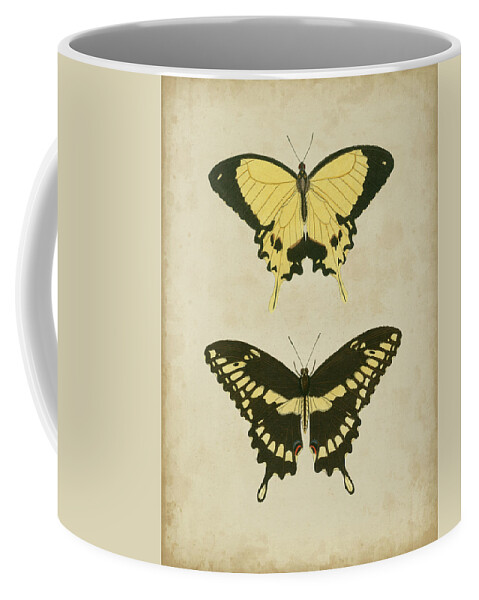Decorative Coffee Mug featuring the painting Antique Butterfly Pair I by Vision Studio