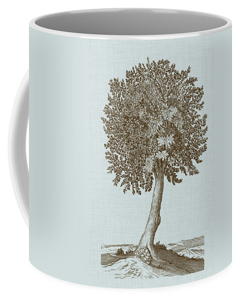 Botanical Coffee Mug featuring the painting Antique Tree In Sepia I by Vision Studio