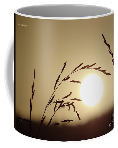 Sun Coffee Mug featuring the photograph Appreciation by Karin Ravasio
