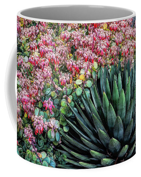 Aqua Coffee Mug featuring the photograph Aqua Succulent with Colorful Pink Backgroundl by Roslyn Wilkins