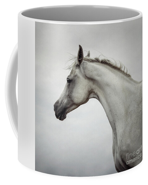 Horse Coffee Mug featuring the photograph Arabian Horse Portrait by Dimitar Hristov
