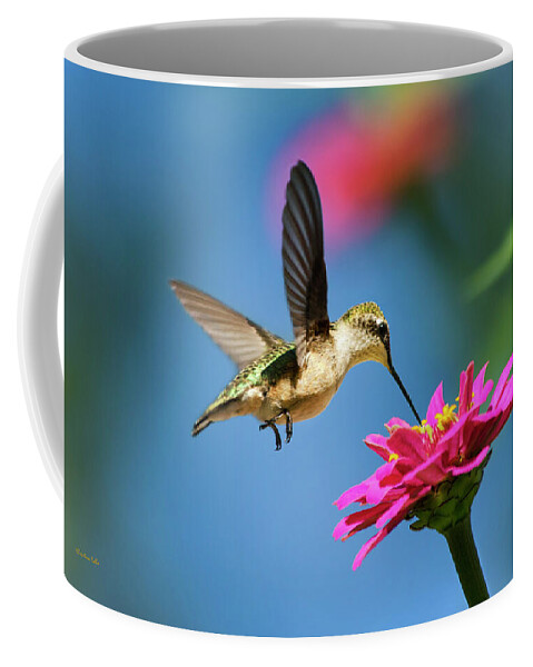 Hummingbird Coffee Mug featuring the photograph Art of Hummingbird Flight by Christina Rollo