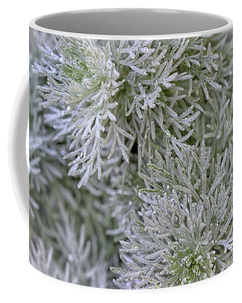 Silver Mound Coffee Mug featuring the photograph Artemisia Silver Mound by Karen Adams