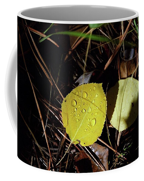  Coffee Mug featuring the photograph Aspen Dew by Susie Rieple