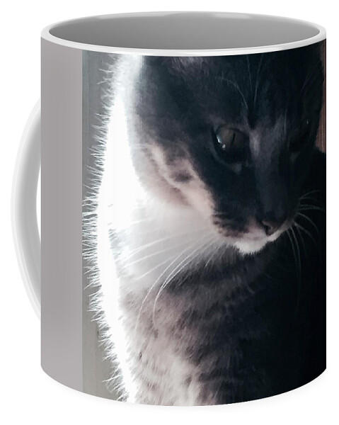 Photograph Coffee Mug featuring the photograph Augie by Kelly Thackeray