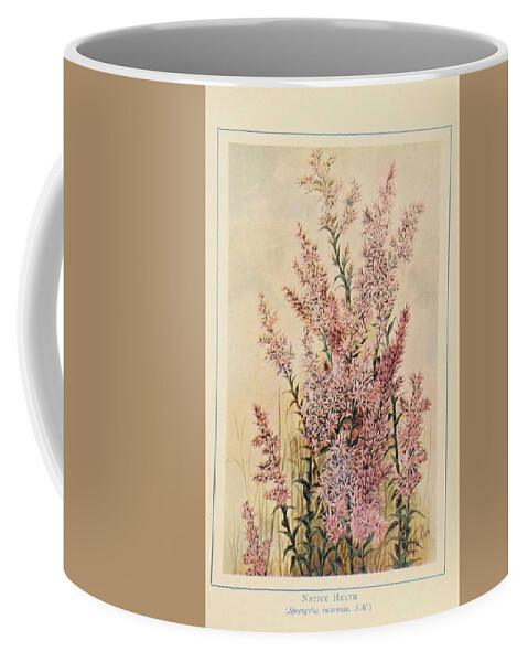 Flower Coffee Mug featuring the painting Australian wild flowers 8 by Celestial Images