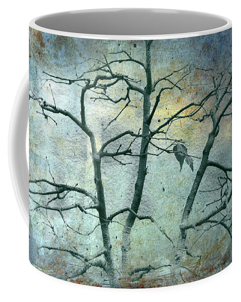 Bonsai Coffee Mug featuring the photograph It is the Light of Perished Stars by Cynthia Dickinson