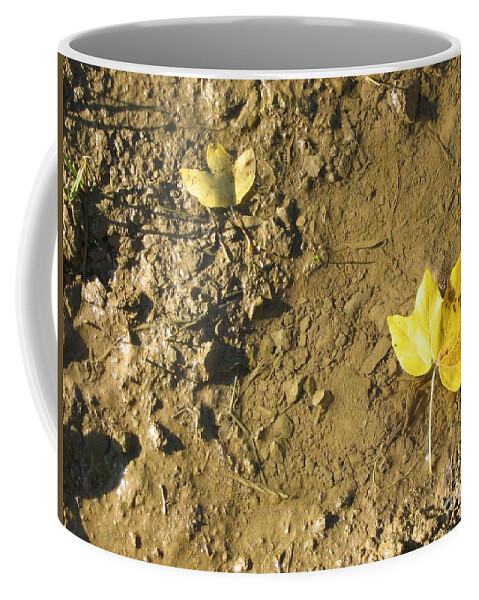 Autumn Coffee Mug featuring the photograph Autumn by Alexa Szlavics