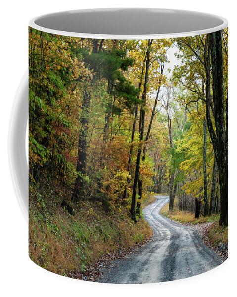 Fall Coffee Mug featuring the photograph Autumn Begins by Lara Ellis