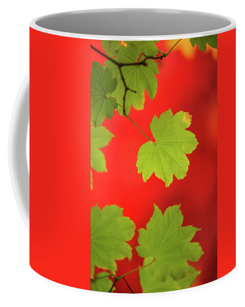 Nature Coffee Mug featuring the photograph Autumn by Bob Cournoyer