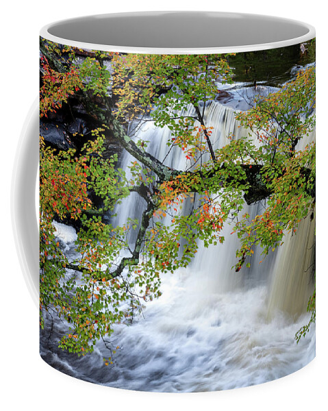Petit Jean Mountain Coffee Mug featuring the photograph Autumn Branch by James Barber