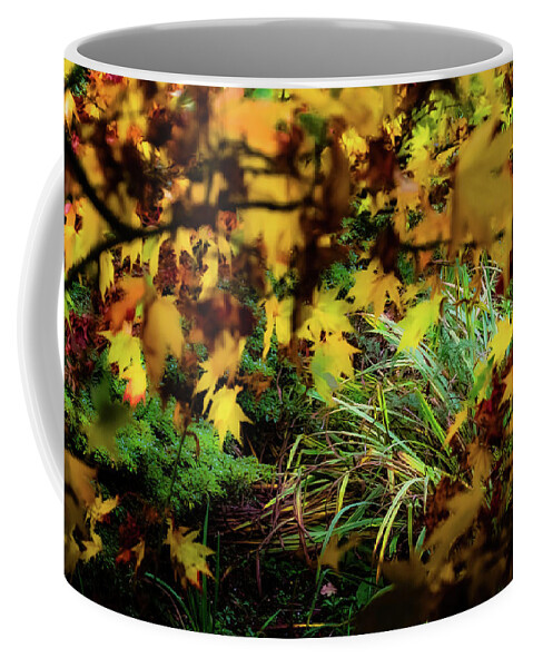 Tree Coffee Mug featuring the photograph Autumn Branches by Christopher Maxum