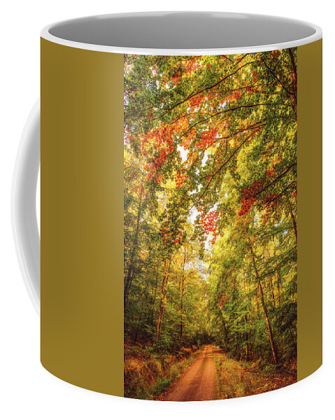 Autumn Coffee Mug featuring the photograph Autumn Colorful Path by Philippe Sainte-Laudy