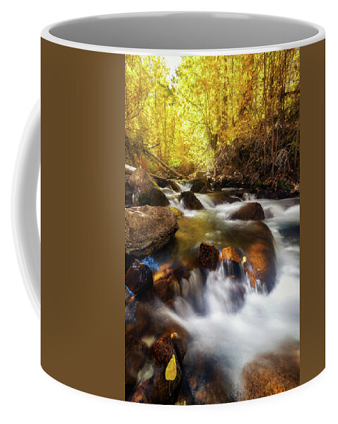 Bishop Creek Coffee Mug featuring the photograph Autumn Creek by Tassanee Angiolillo