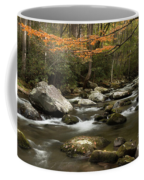 Tennessee Stream Coffee Mug featuring the photograph Autumn Flowing Through The Mountains by Mike Eingle