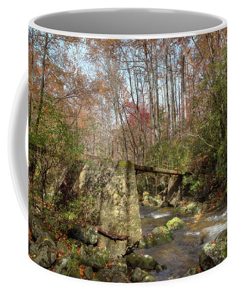 Stream Coffee Mug featuring the photograph Autumn Gathering by Mike Eingle