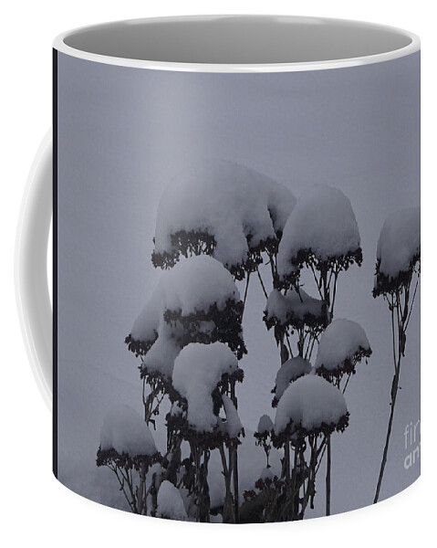 Autumn Glory Coffee Mug featuring the photograph Autumn Glory In Winter by Robert E Alter Reflections of Infinity