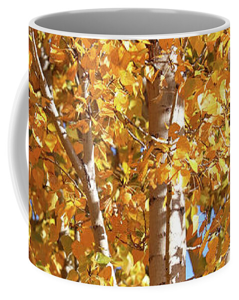 Yellow Coffee Mug featuring the photograph Autumn Golden Leaves by Carol Groenen