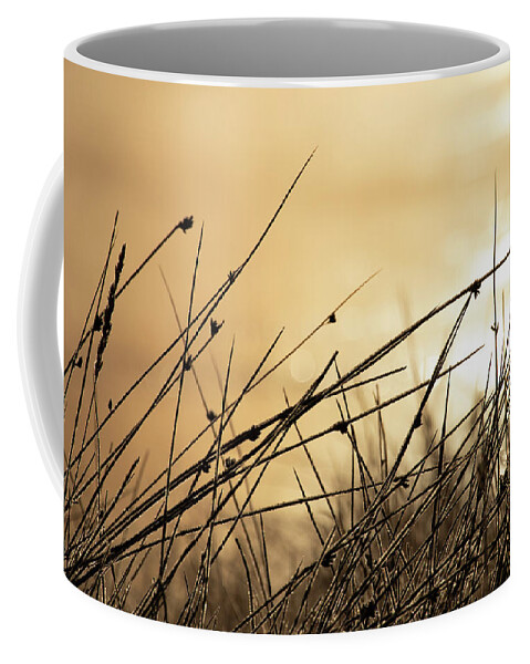 Autumn Coffee Mug featuring the photograph Autumn Grass by Kevin Schwalbe