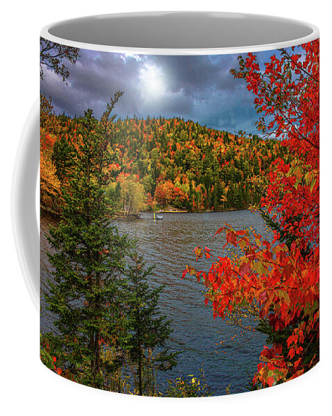 Fall Coffee Mug featuring the photograph Autumn in Nova Scotia by Patrick Boening