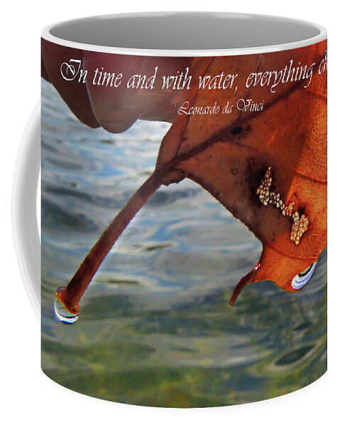 Macro Coffee Mug featuring the photograph Autumn Leaf and Leonardo Quote by Nancy Griswold