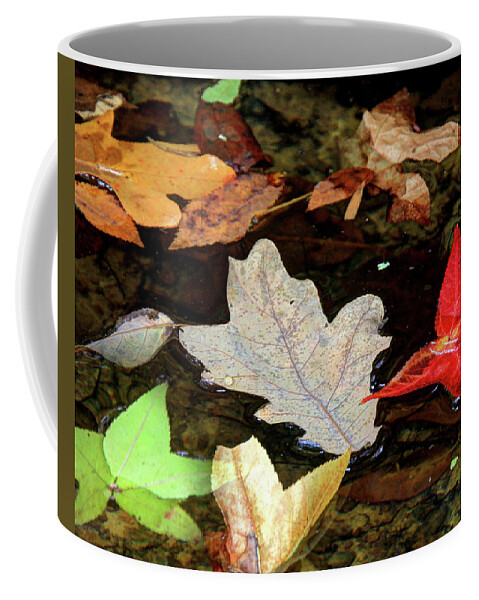 Autumn Coffee Mug featuring the photograph Autumn Leaves 2 by Douglas Settle