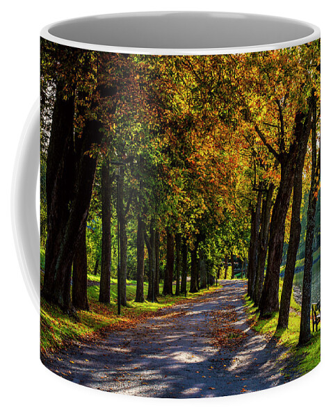 Stockholm Coffee Mug featuring the photograph Autumn Morning Walk by David Morefield