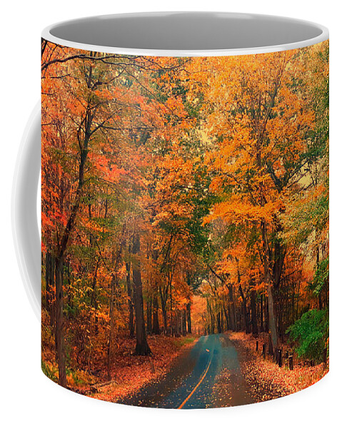 Foliage Coffee Mug featuring the photograph Autumn Rain by Dani McEvoy
