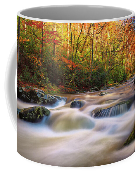 Great Smoky Mountains National Park Coffee Mug featuring the photograph Autumn Rush by Greg Norrell