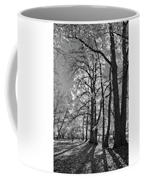 Landscape Coffee Mug featuring the photograph Autumn Through the Nut Trees Black and White by Allan Van Gasbeck