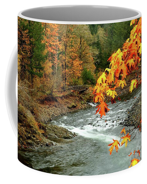 Autumn Coffee Mug featuring the photograph Autumn View From The Bridge by William Rockwell