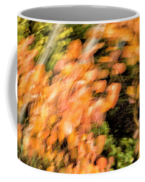 Abstract Coffee Mug featuring the photograph Autumn Vortex by Denise Bush