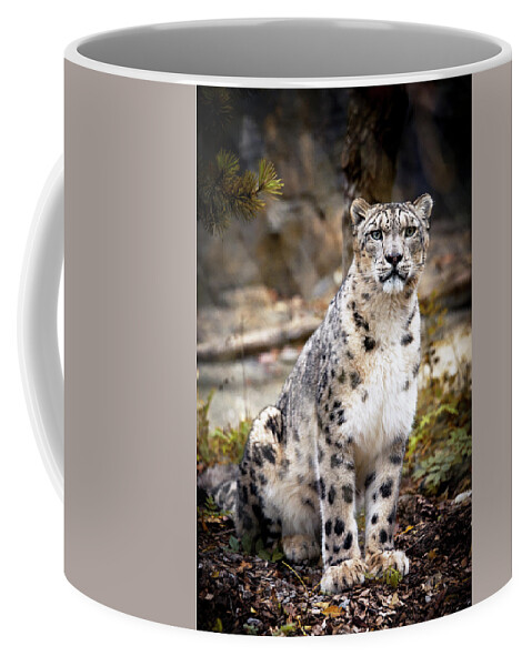 Snow Coffee Mug featuring the photograph AutumnalLeopard by Chris Boulton