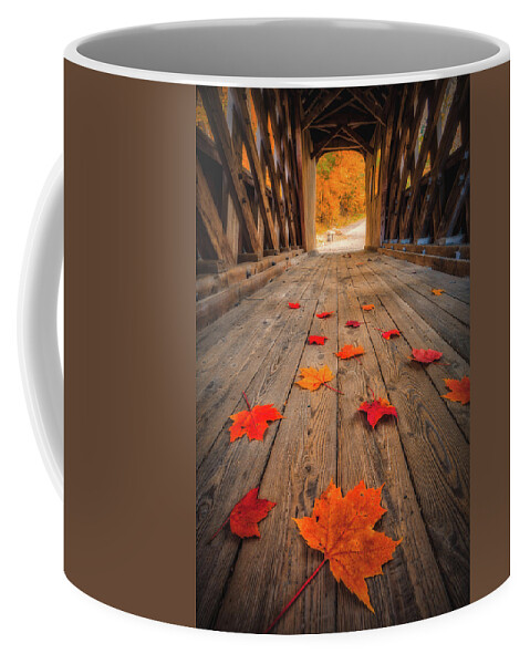 Gilford Coffee Mug featuring the photograph Autumn's Path by Robert Clifford