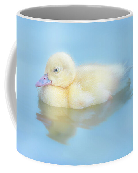 Duck Coffee Mug featuring the photograph Baby Duck by Jordan Hill