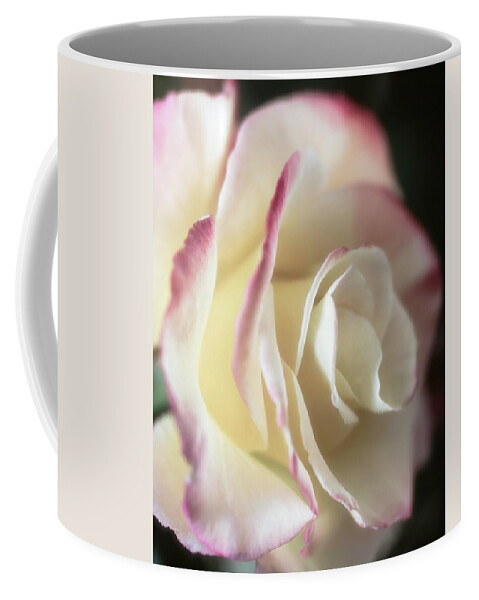 Rose Coffee Mug featuring the photograph Back-lit Beauty by TL Wilson Photography by Teresa Wilson