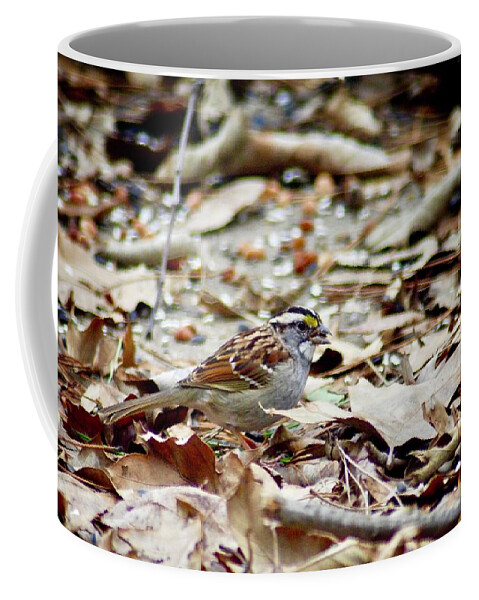 Bird Coffee Mug featuring the photograph Back Yard Buffet by DArcy Evans